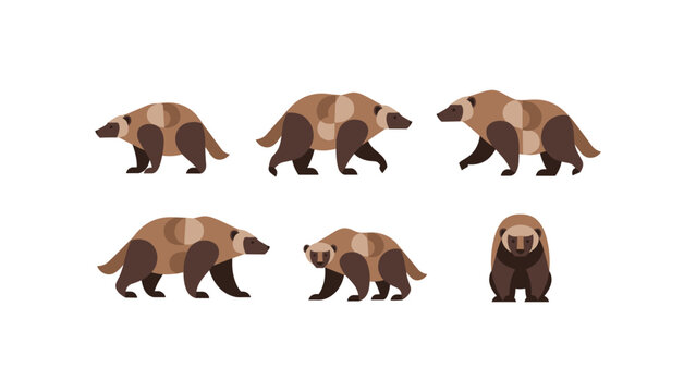 Flat style wolverine set in various poses on white background