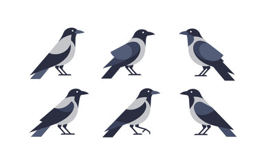 Obraz premium Flat design set of crow silhouettes in various poses on white background