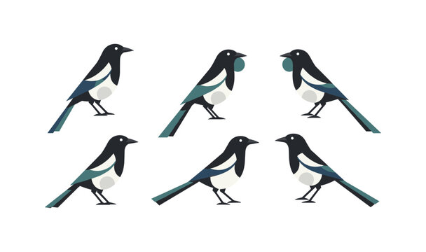 Stylized magpie collection featuring multiple poses on a white background