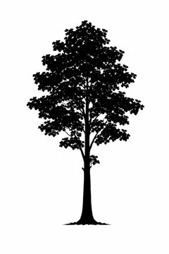 vector tree silhouette