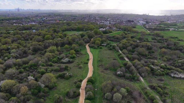 Epping Forest Path Aerial View London Skyline 4K