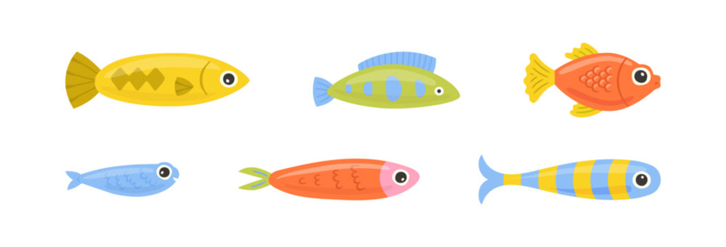 Colorful fish animal illustration set. Summer vacation travel concept. Fishing activity cartoon graphic collection.