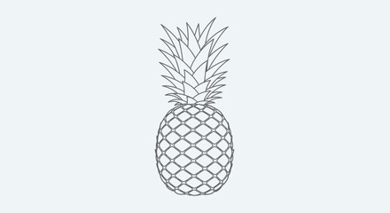 Fototapeta premium Minimalist Line Art Pineapple Illustration