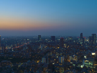 Fototapeta premium Tokyo Cityscape at Magic Hour, Aerial View of City Lights and Skyline at Twilight, Japan