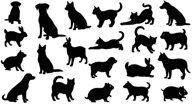 Set of Various Domestic Animal Silhouettes