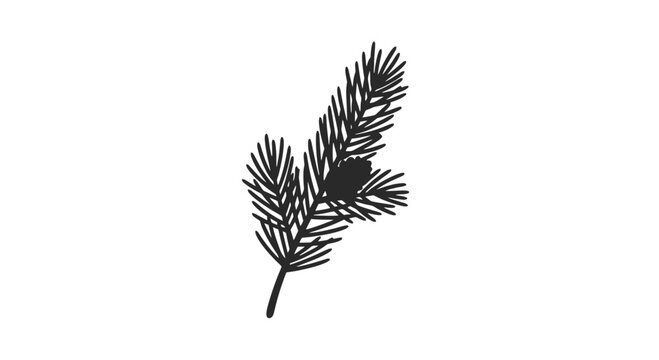 Black Silhouette of a Spruce Branch.