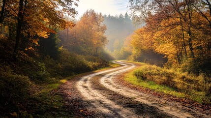 Fototapeta premium Autumnal Forest Path Winding Through Golden Trees
