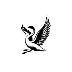 Fototapeta premium Elegant black and white swan illustration with outstretched wings vector design