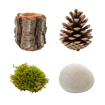 a tree stump a pine cone moss and a soap bar isolated on transparent background