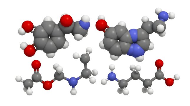 High-Resolution 3D Render of Neurotransmitter Molecular Structures Isolated on White Background