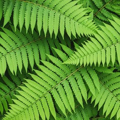 Lush Green Fern Fronds Pattern Background in Macro Close Up © IMAGINIAC