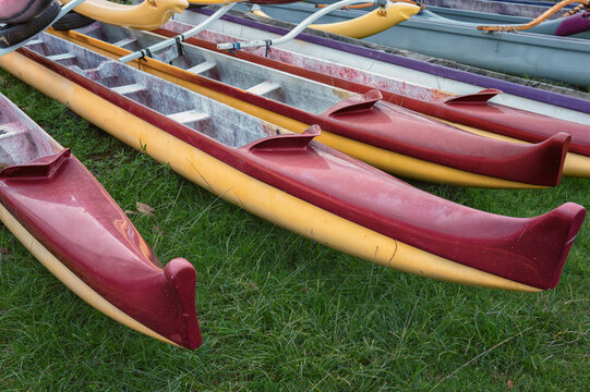 Red and Yellow Outrigger Canoes Resting on Green Grass.