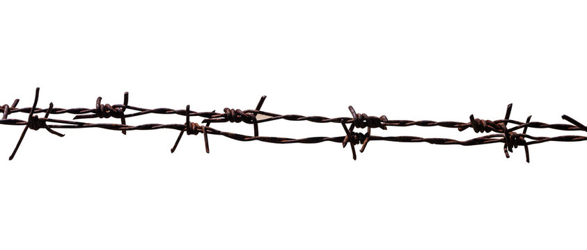 rusty barbed wire isolated on white background