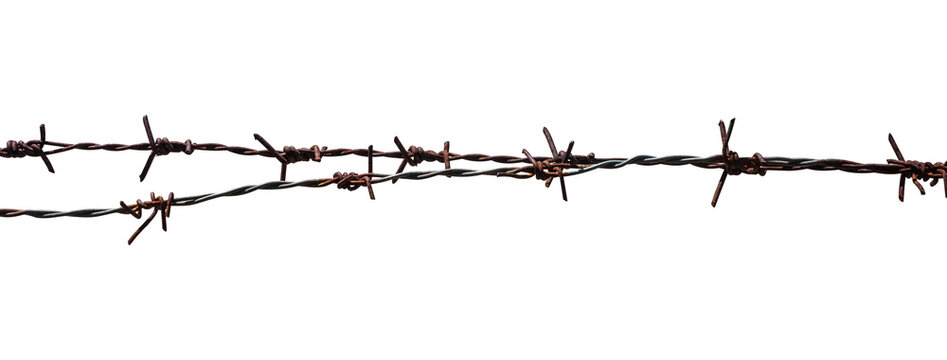 rusty barbed wire on transparent background