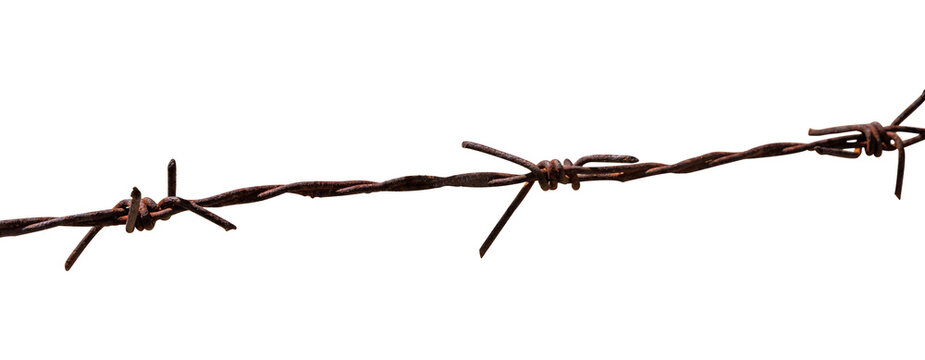 rusty barbed wire with a transparent background
