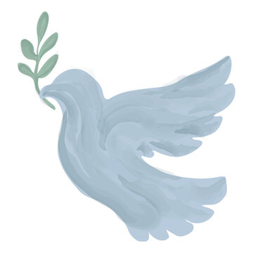 Peace dove light blue color with olive branch symbol hand drawn watercolors painted isolated