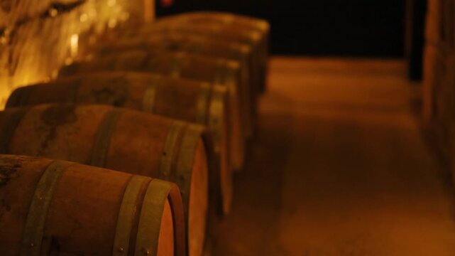 Wooden wine barrels aging in cool dark cellar motion footage.