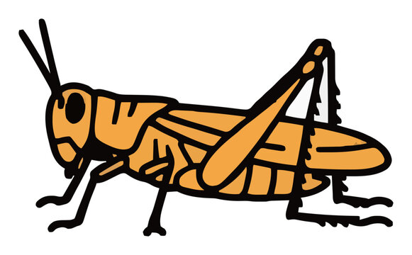 Grasshopper insect profile side view flat vector ill.... Generative AI