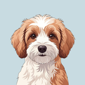 Detailed digital vector illustration of a tan and white doodle dog portrait featuring fluffy fur, floppy ears, and dark eyes, centered on a solid light blue background.