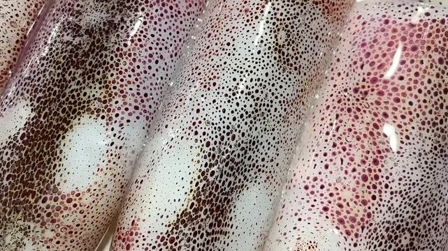 Squid skin.