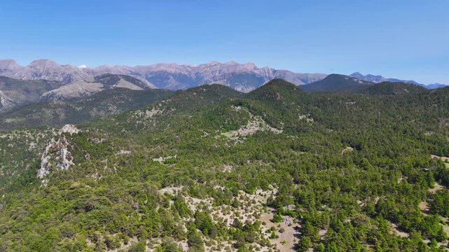 Aerial view of Taygetus mountains and forested hills near Kalamata, Greece. Scenic summer landscape with rugged mountain range, green pine forest and clear blue sky