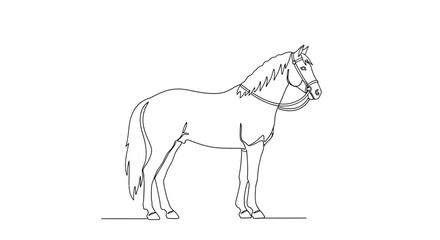 Fototapeta premium Line Art Horse Silhouette, Equestrian, Animal Drawing, Vector Illustration