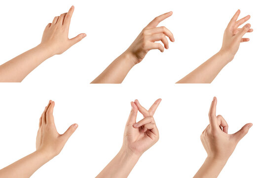 Collection of Hand Gestures Isolated on White Background. for design, presentations, communication, and creative concepts.