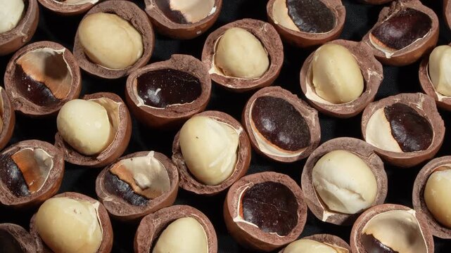 Premium roasted macadamia nuts with white kernels in shells close-up.