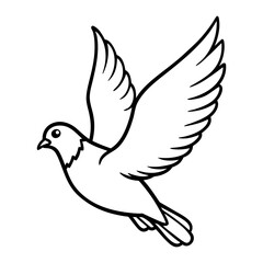Fototapeta premium Pigeon