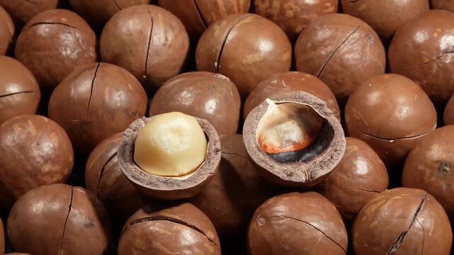 Macadamia nut split in half with kernel on roasted nuts background.