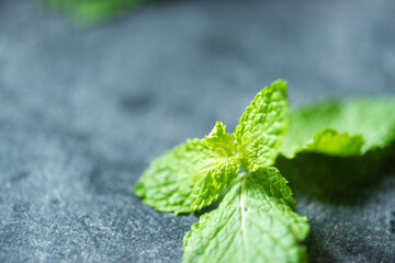 Fresh mint leaves on slate © Rawpixel.com