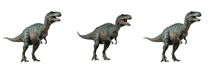 Fototapeta premium Tyrannosaurus Rex Dinosaur Animal Set, Realistic T-Rex Prehistoric Predator Standing and Roaring Poses Isolated on White Background, Jurassic Era 3D Render Illustration for Design
