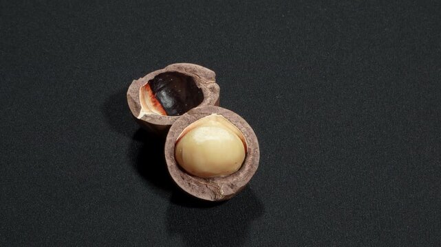 Macadamia nut split in half with kernel on black background.