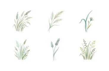 Watercolor grass icons set isolated on white background © Dwi