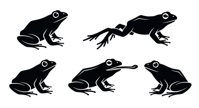 Dynamic frog silhouettes capturing diverse amphibian behaviors like resting, leaping, and feeding, symbolizing the inherent agility and adaptability of nature's creatures