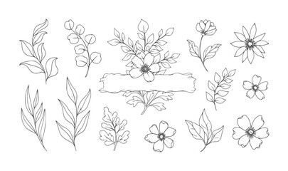 Fototapeta premium Hand drawn floral and leaves with banner botanical outline nature