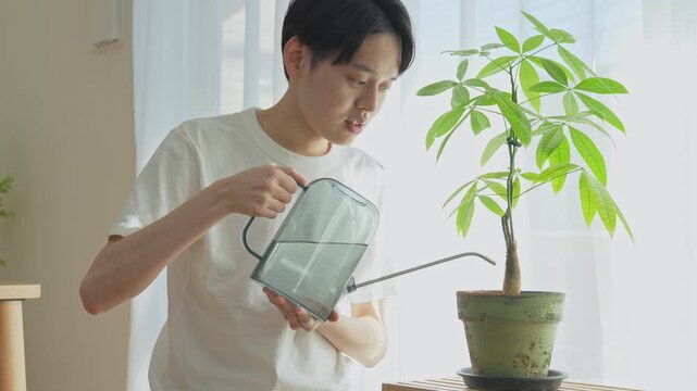観葉植物に水をやる男性