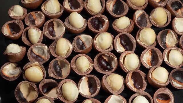 Premium cracked macadamia nuts with white kernels on wide dark background.