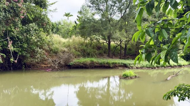 Flowing water of the Barron River in the Atherton Tablelands, tropical North Queensland, Australia. Scenic freshwater river surrounded by lush nature and natural landscape.