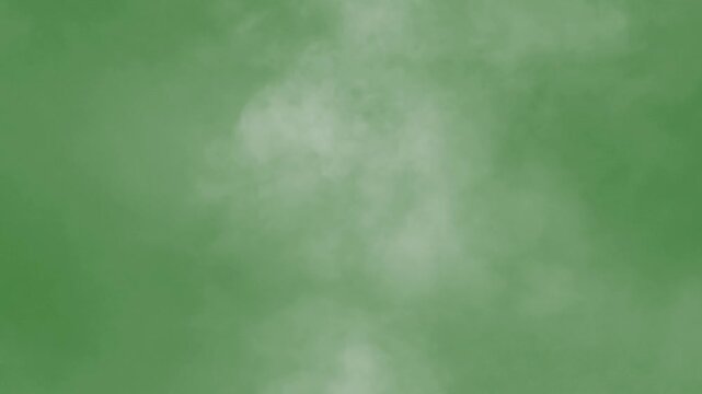 A wall of smoke and steam. Isolated loop on green screen alpha channel.