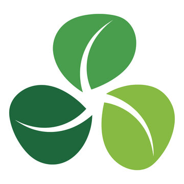 Green three leaf clover symbol isolated on white background icon