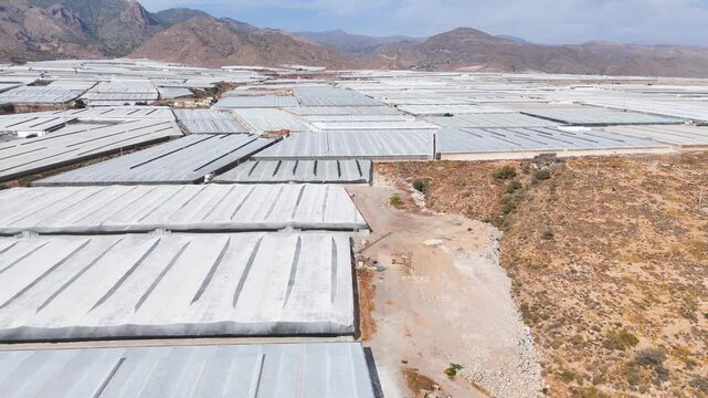 greenhouse agriculture modern invernaderos industry plastic sea texture pattern landscape dry desert - Andalusia, Spain - 2025