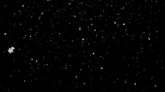 Snow falling black background winter theme holiday overlay blizzard cold ideal for cinematic overlays and seasonal greeting projects.