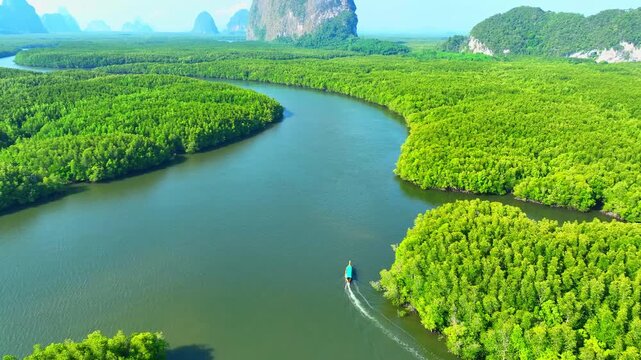 Aerial drone view of a longtail boat cruising through lush mangrove forests, surrounded by limestone mountains, showcasing eco-friendly tourism and pristine tropical nature. Samed Nang Chee, Thailand.