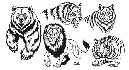 Obraz premium Black and white big cats and bear.