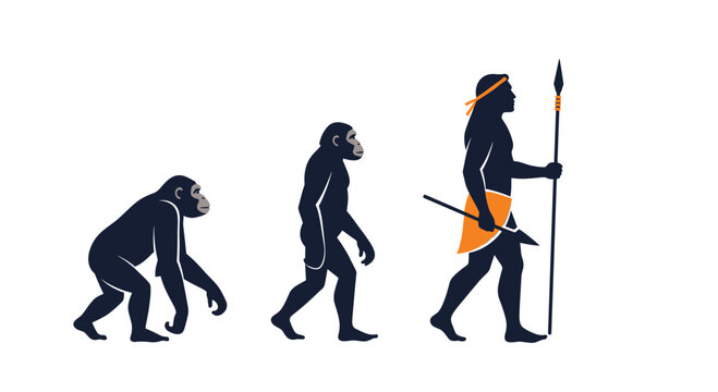 Evolutionary timeline of man showing the transition from an ape to a hunter-gatherer holding a spear, depicted as silhouettes on white.