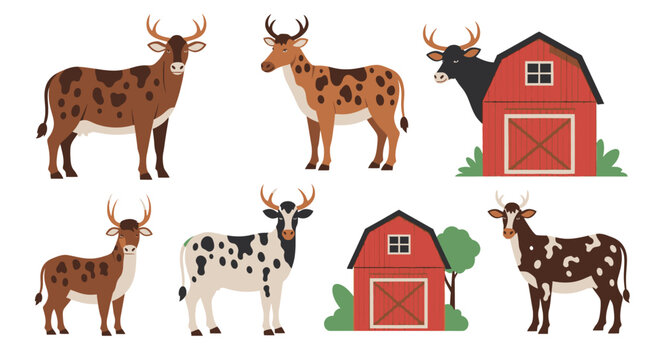 Cows and bulls in farm setting.