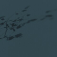 Fototapeta premium Dark shadowy leaves on wall background