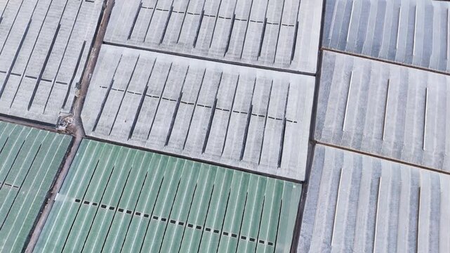 agriculture greenhouse plastic sea texture drone plan pattern invernaderos roof industry - Andalusia, Spain - 2025