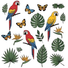 Obraz premium Tropical Macaws Butterflies and Exotic Foliage Illustration Set